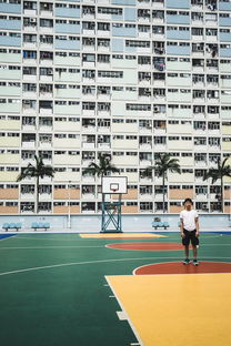 中学篮球建设视频数据库方便教师二次教学，中学篮球教学现状的调查报告